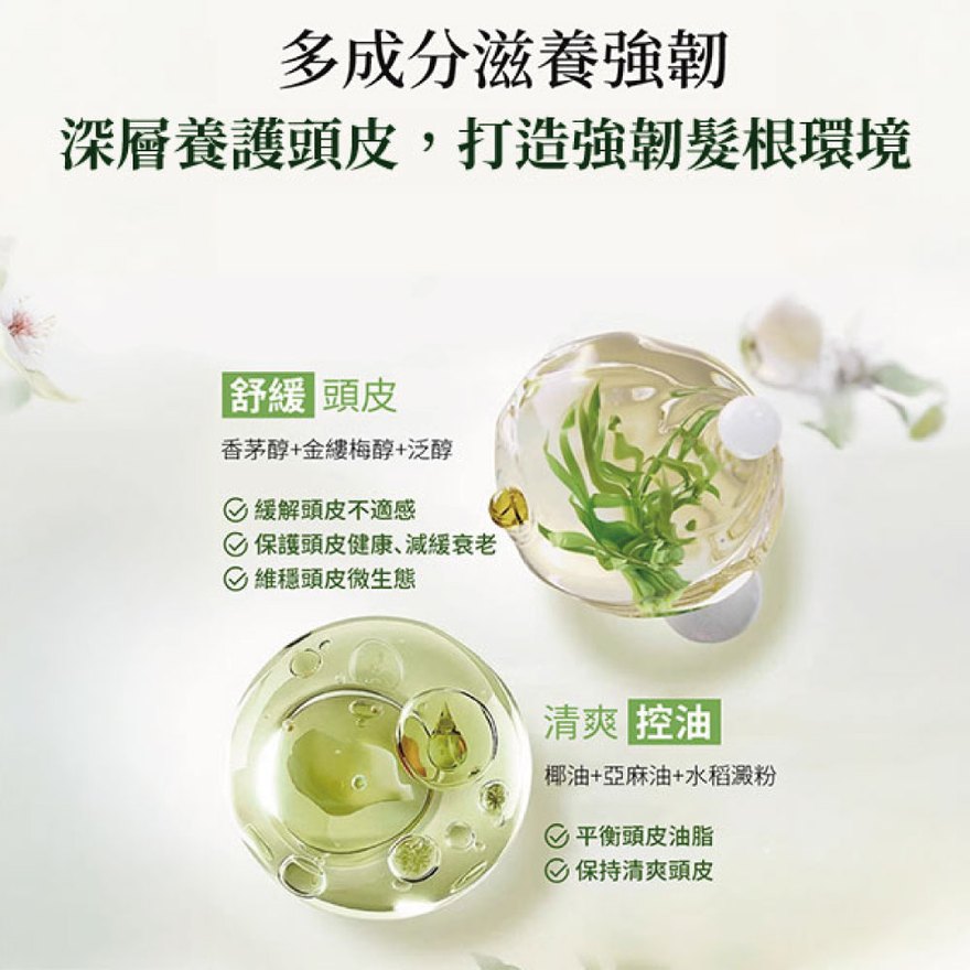 舒緩頭皮與清爽控油成分