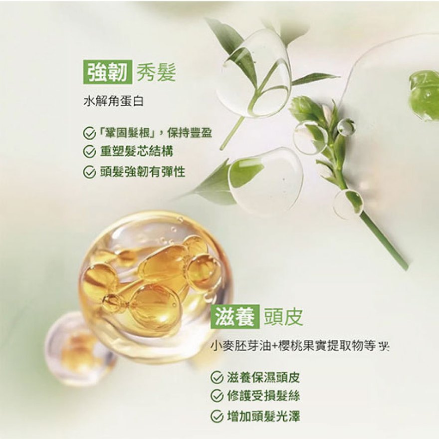 強韌秀髮與滋養頭皮成分