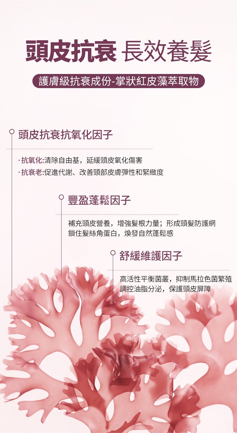 頭皮抗衰 掌狀紅皮藻萃取物