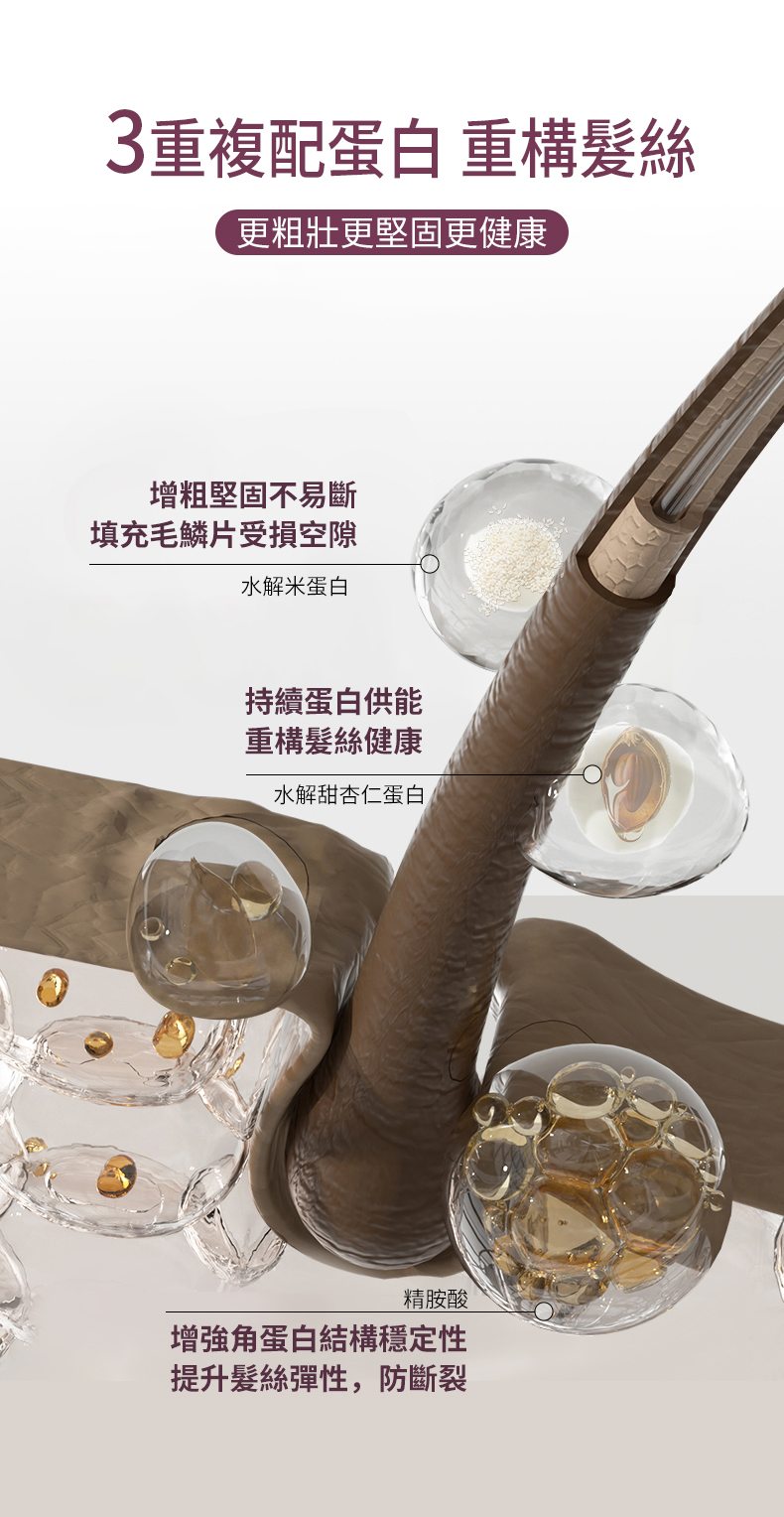 三重複配蛋白 重構髮絲